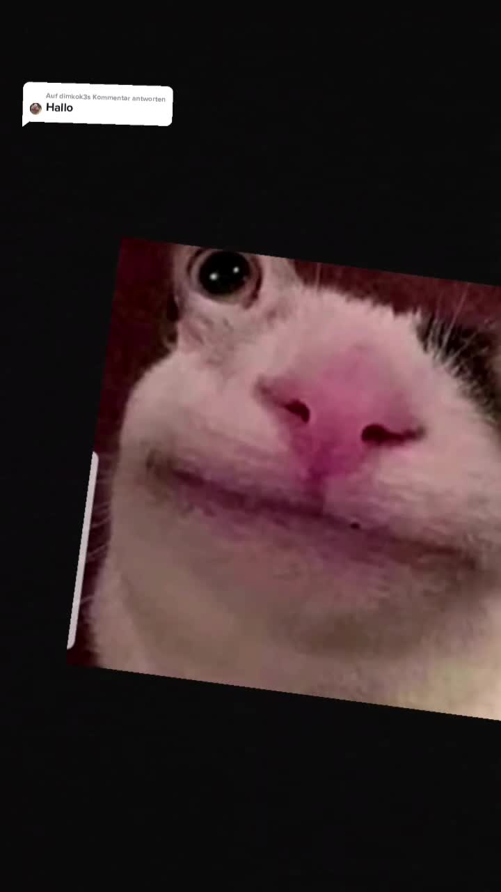 @woaaah