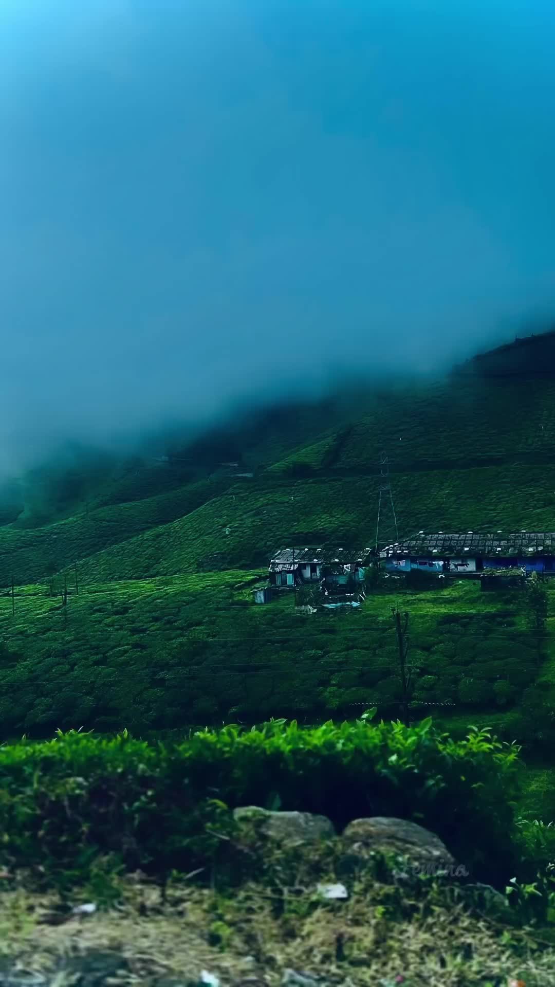 @എടത്തനാട്ടുകരകാരൻ ❤️❤️❤️❤️