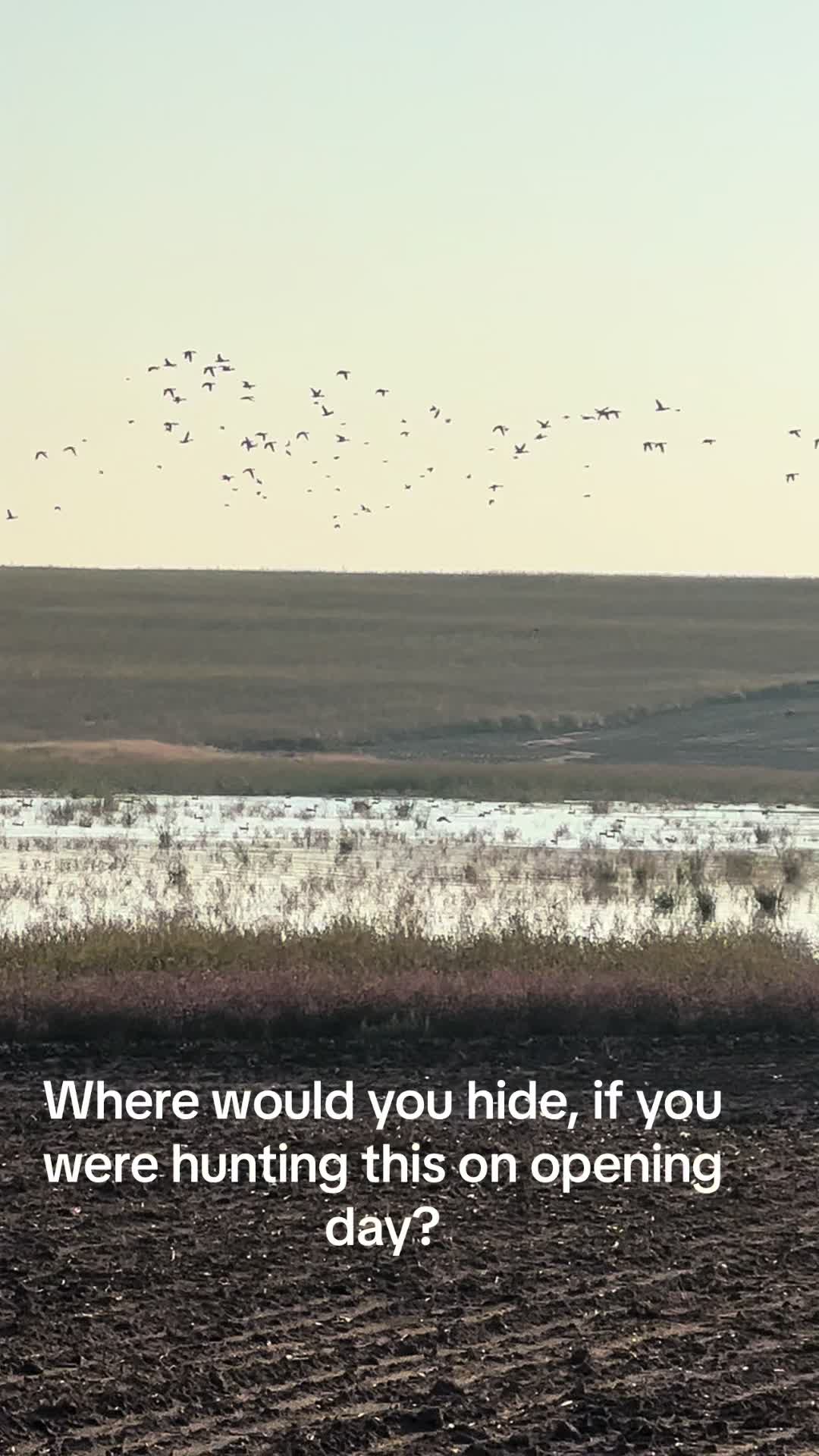 @Migration Maniacs