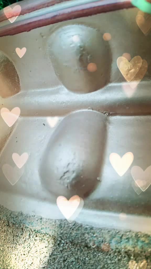 @solider_pak