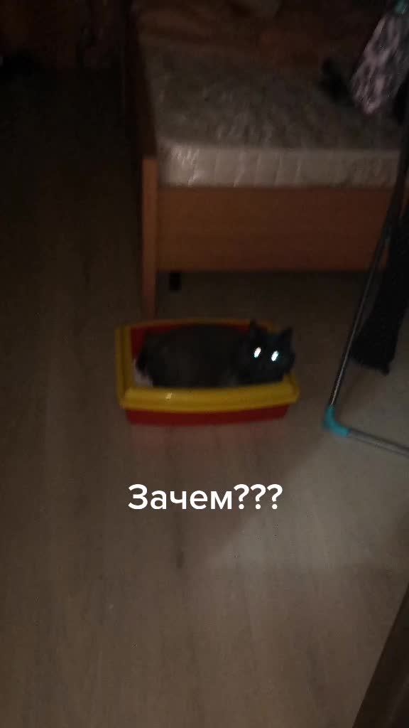 @Тима Дякин