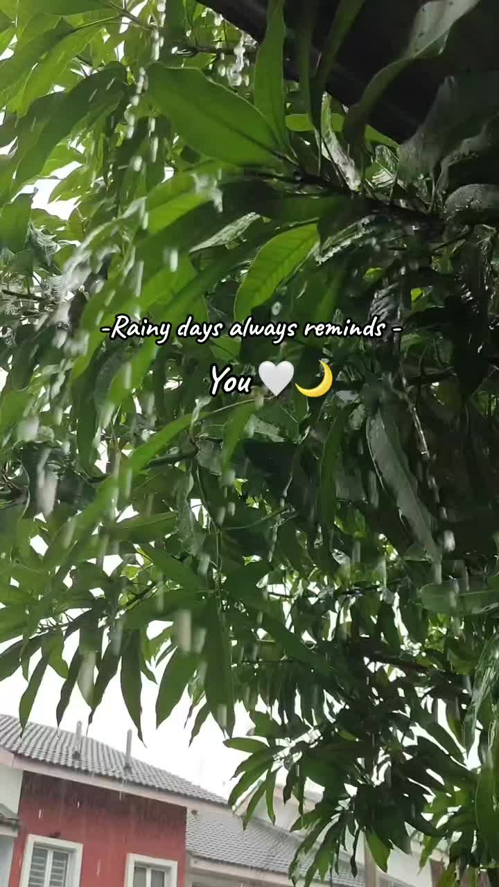 @N I S H E N . J R 🩶