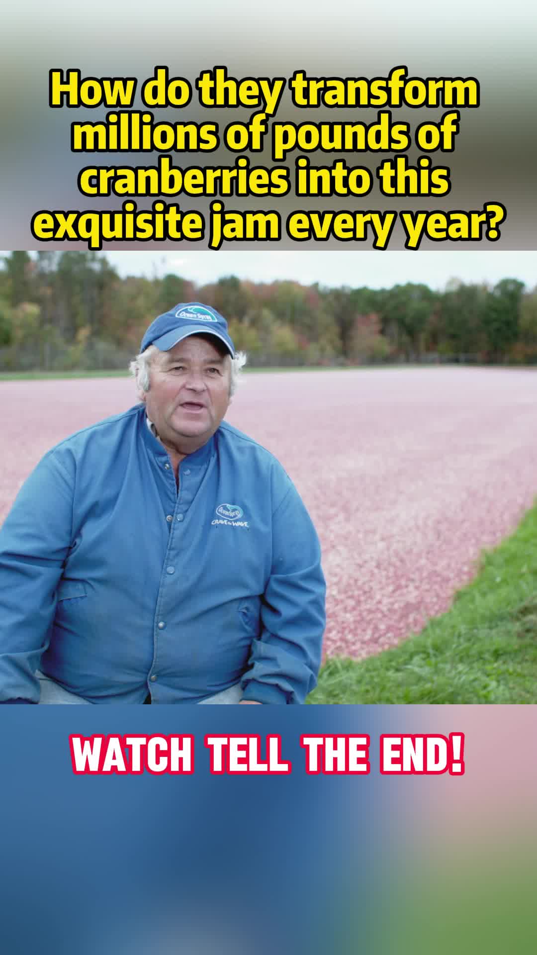 @fhdgjk