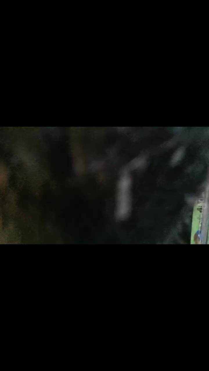 @M Ramdhani8250