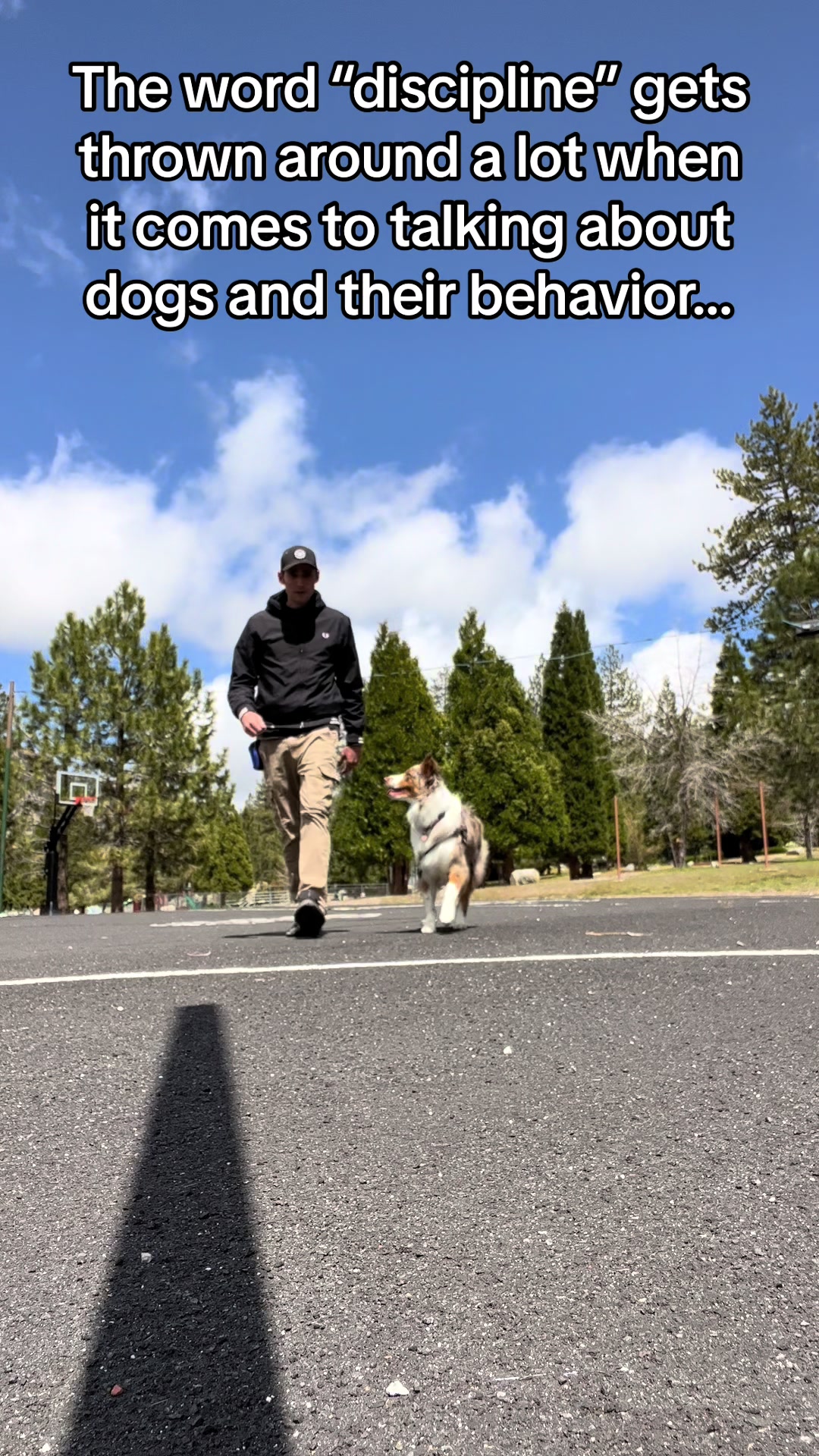 @Prestigious.Pooch