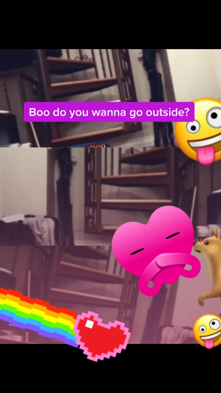 @Pet loverr