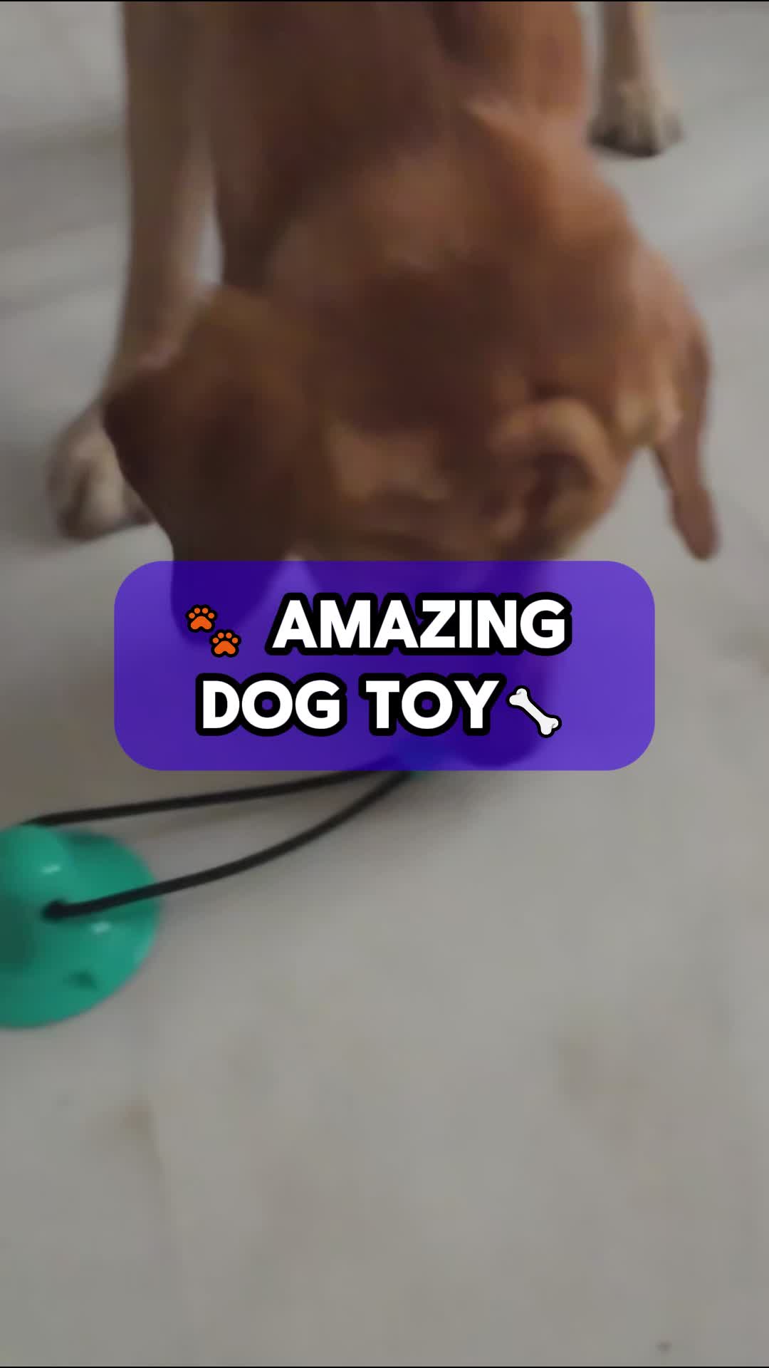 @VIP PET ORG