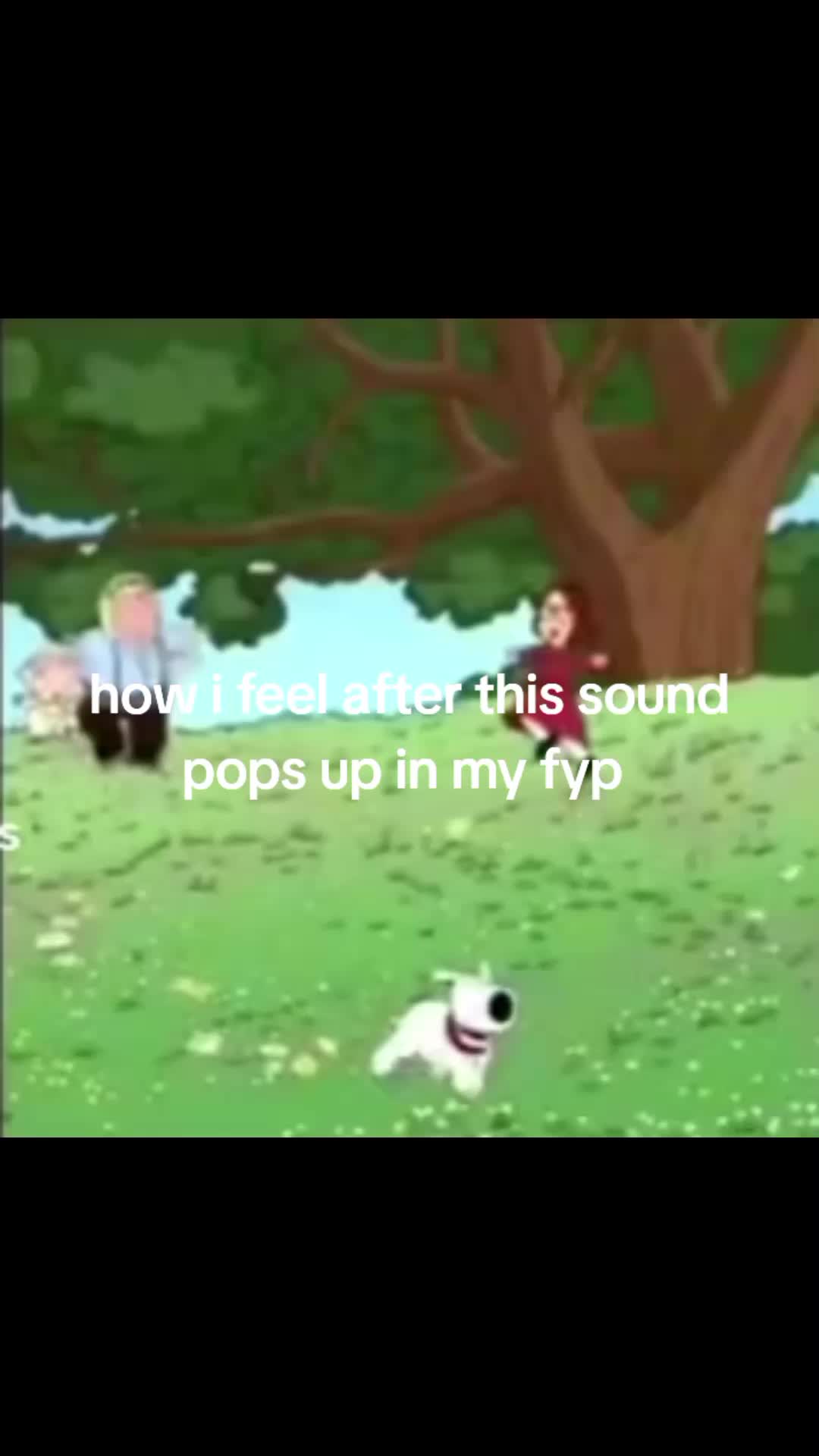 @🪽🩷🪽