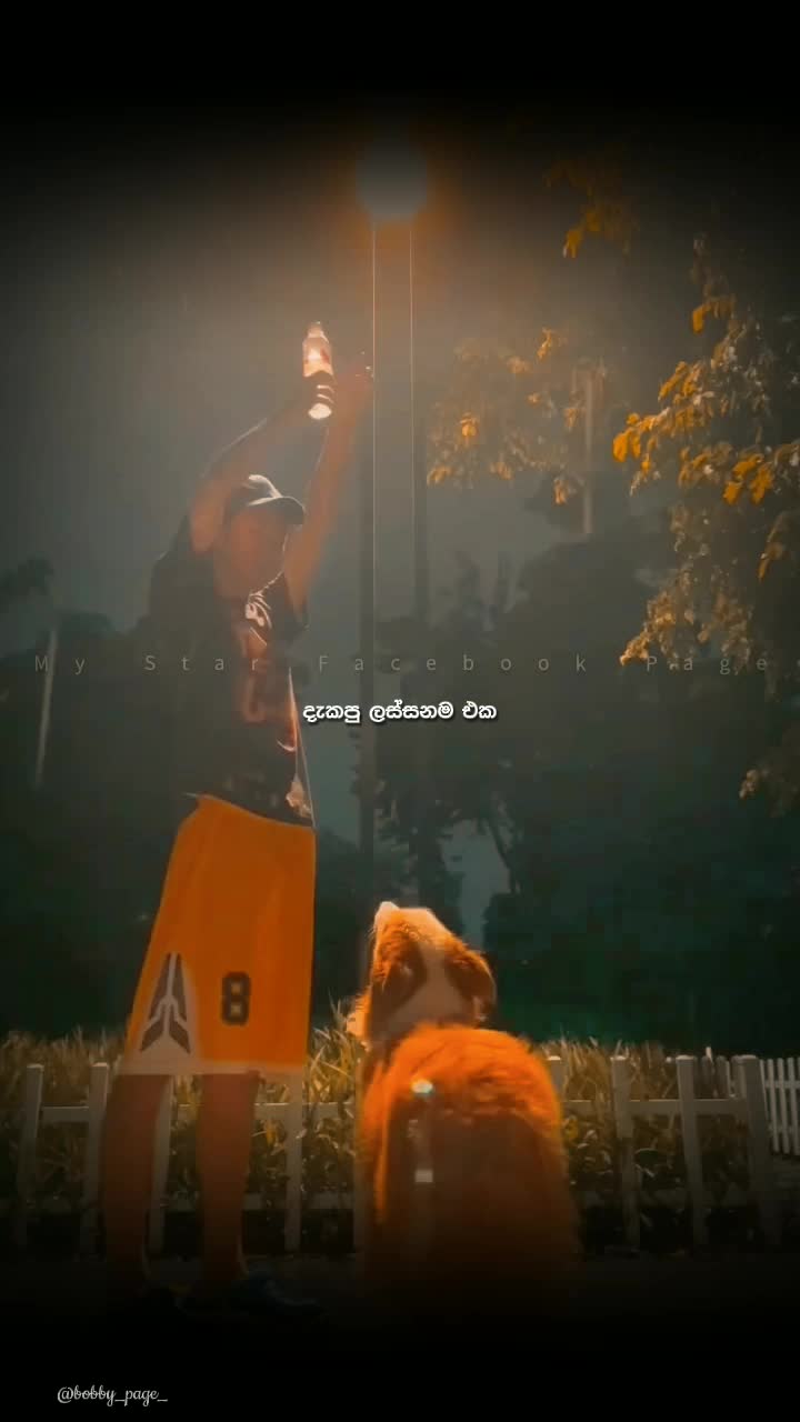 @𝐁𝐨𝐛𝐛𝐲 💛🧸