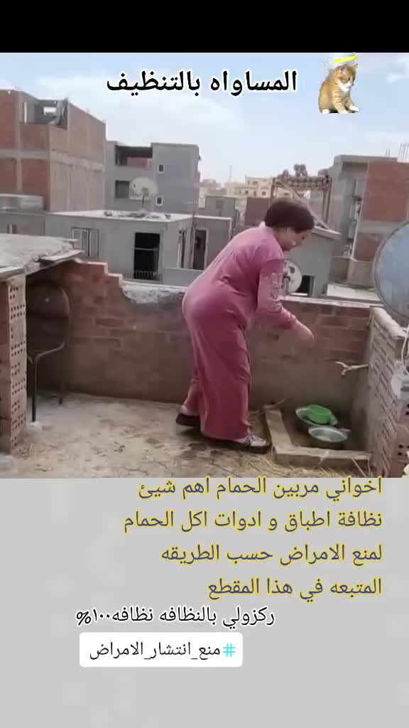 @التاج 👑 والباج ☠️