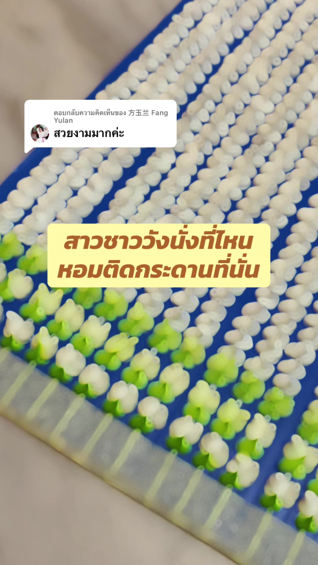 @Homprathin