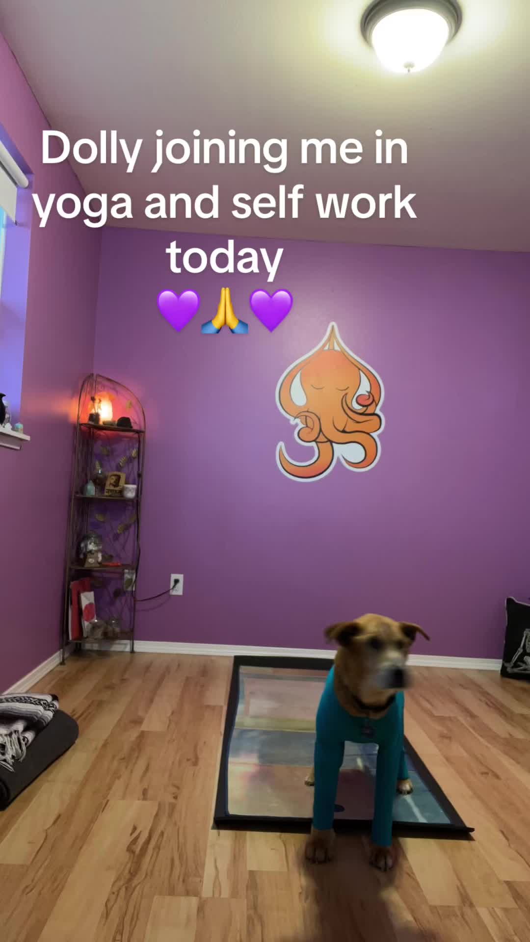 @Yoga with Jacqi