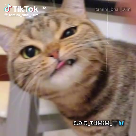 @Md_Sofik.07