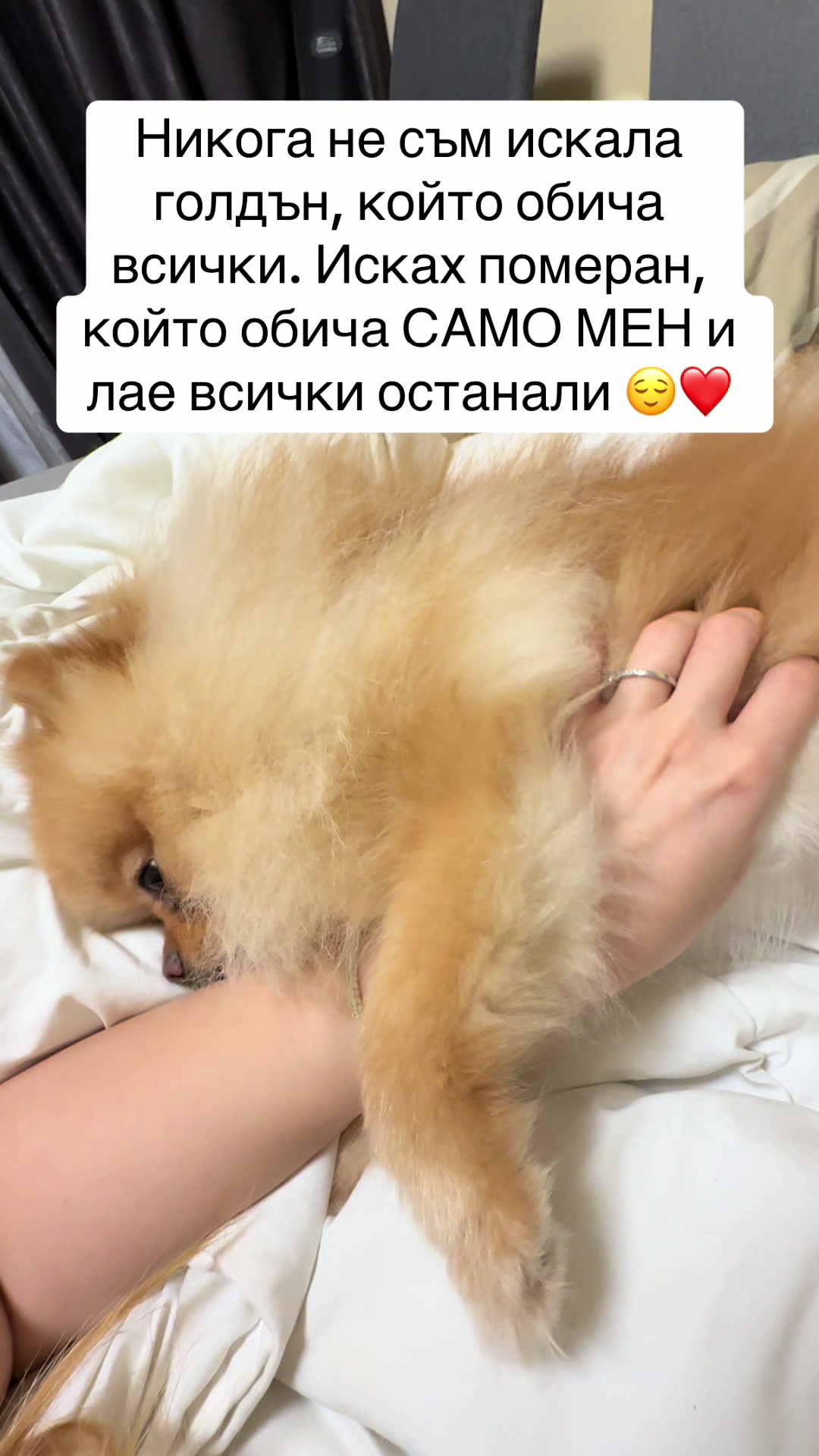 @꧁༺ 𝐻 𝒜 𝐻 𝒰 ༻꧂