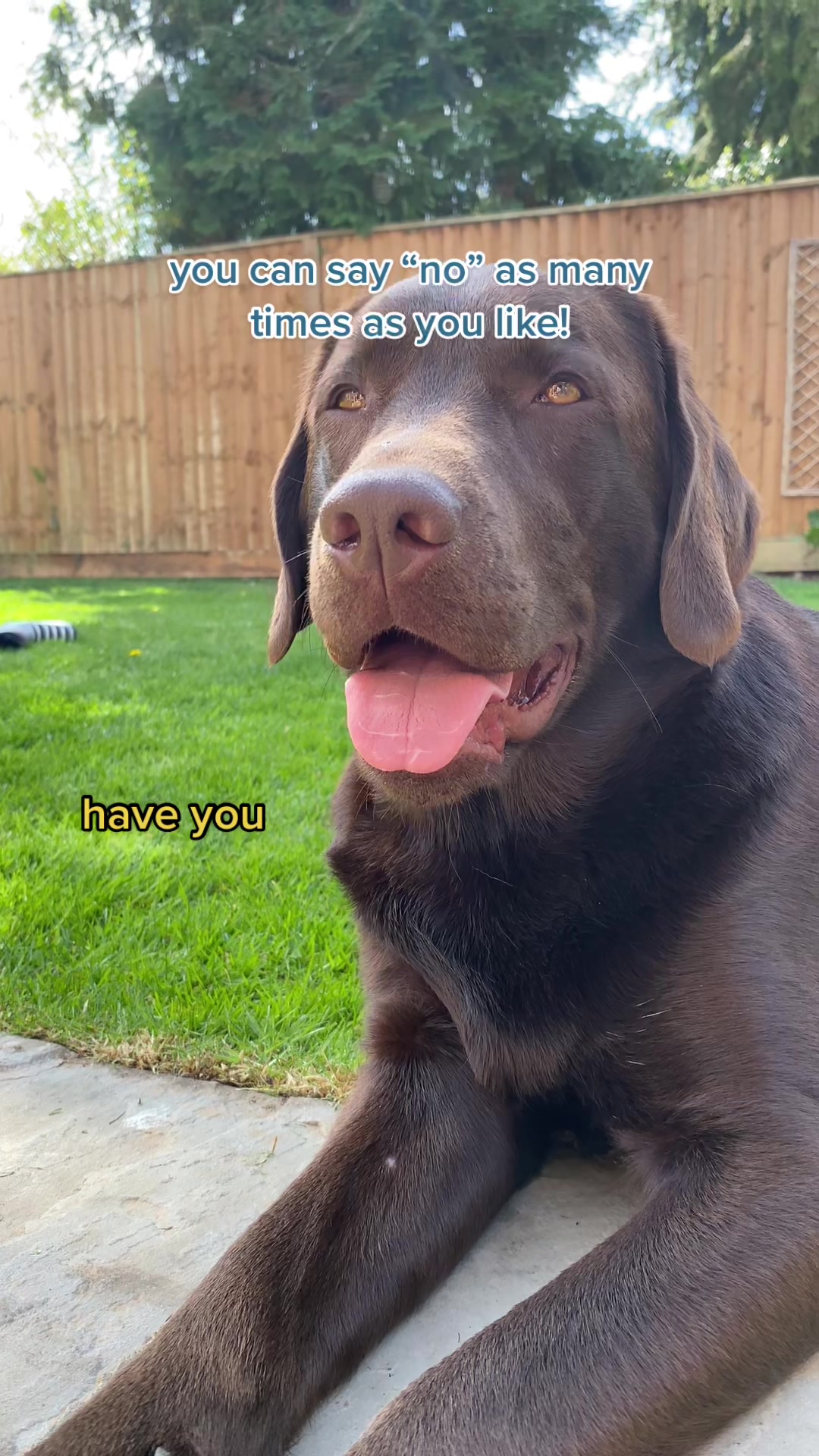 @🐾 𝑻𝒆𝒅𝒅𝒚🐾