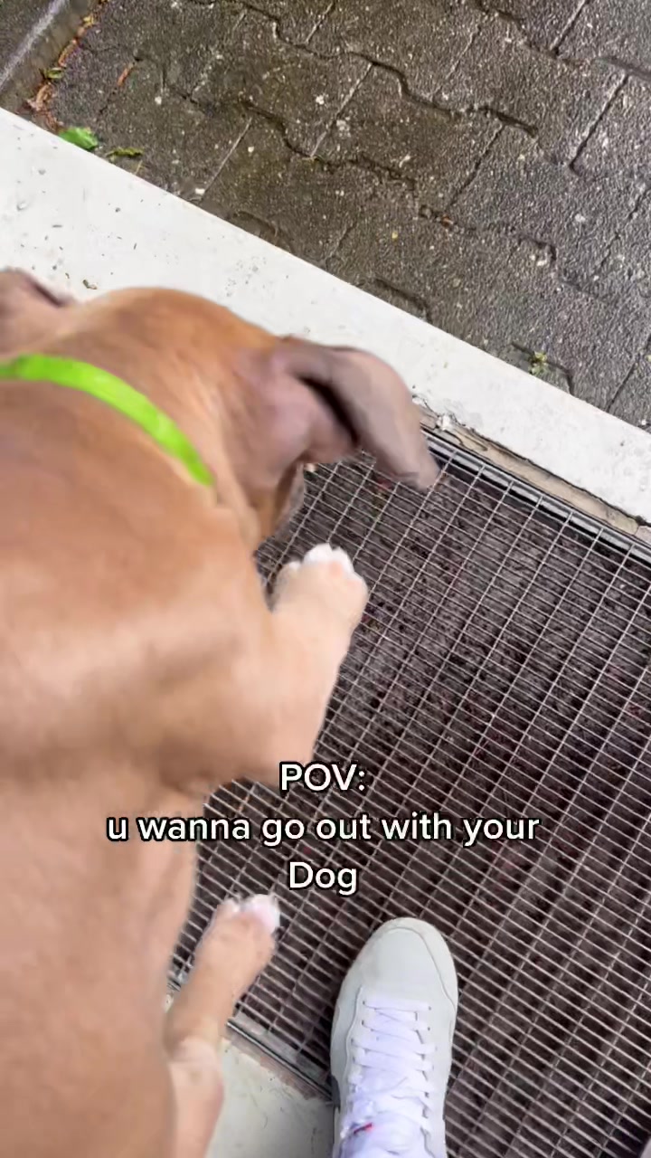 @lifeofpacoo
