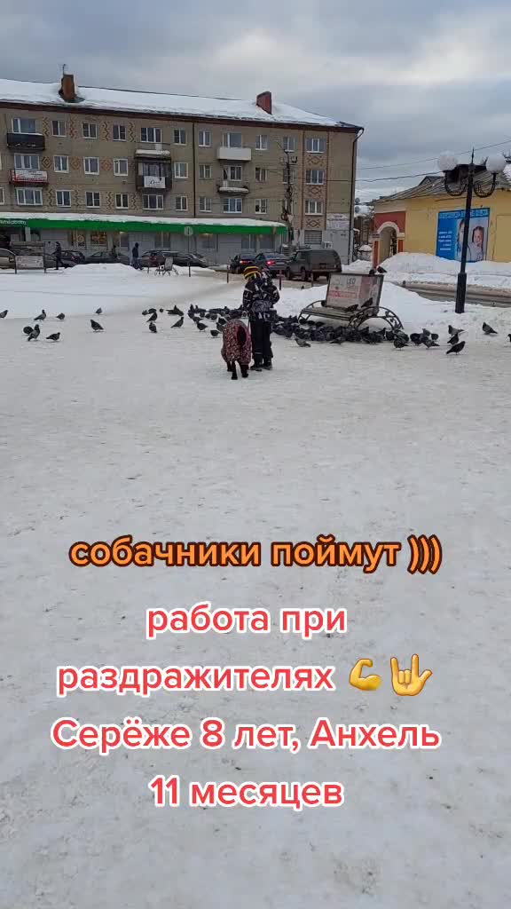 @Radychka33