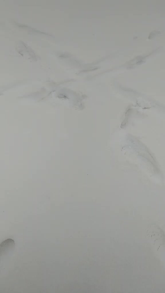 @ADEM UĞURLU