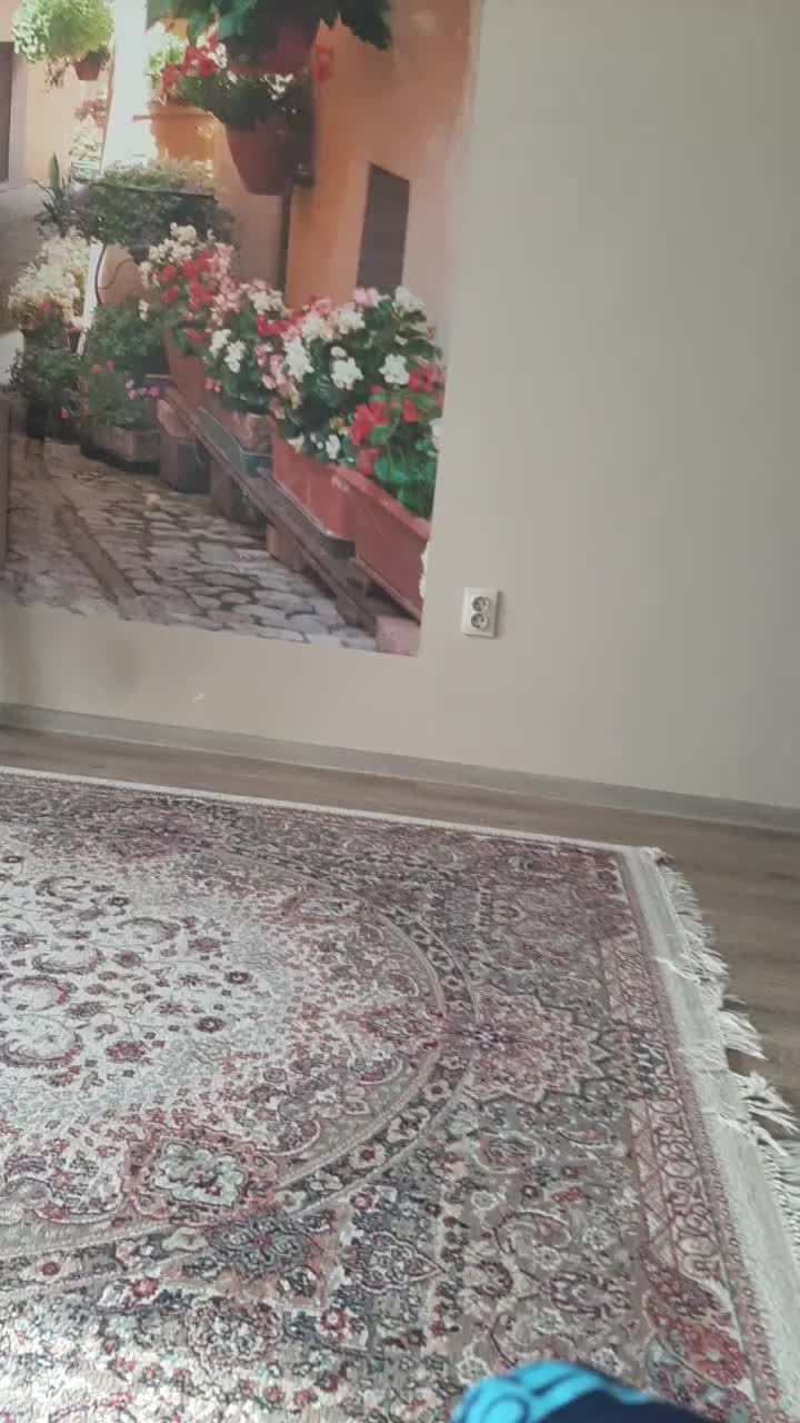 @Паучок