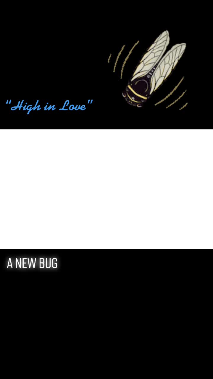 @a new bug