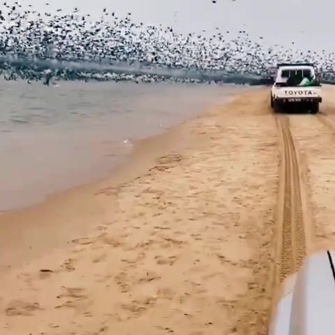 @Land Cruiser Angola🇦🇴