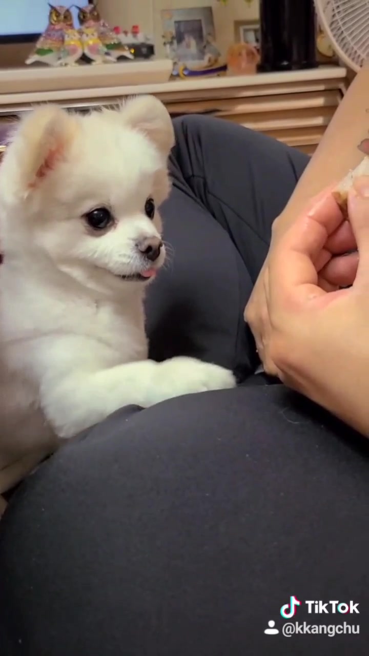 @kkangchu