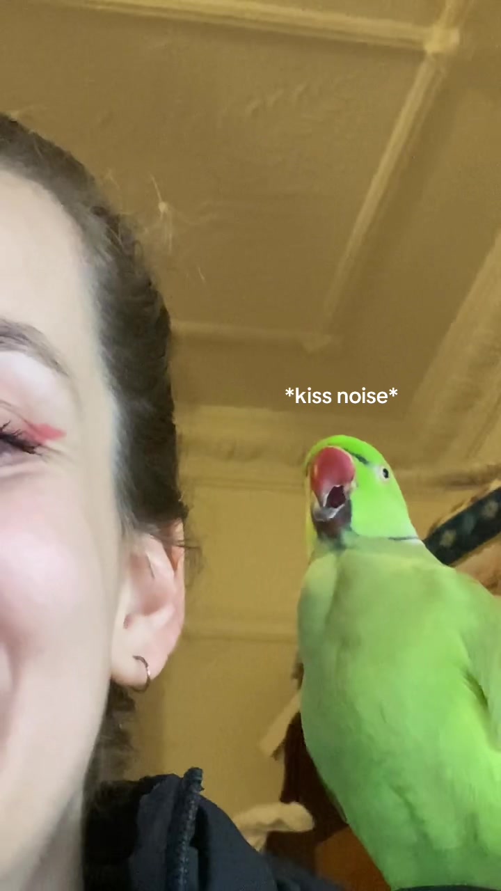 @millieandloki