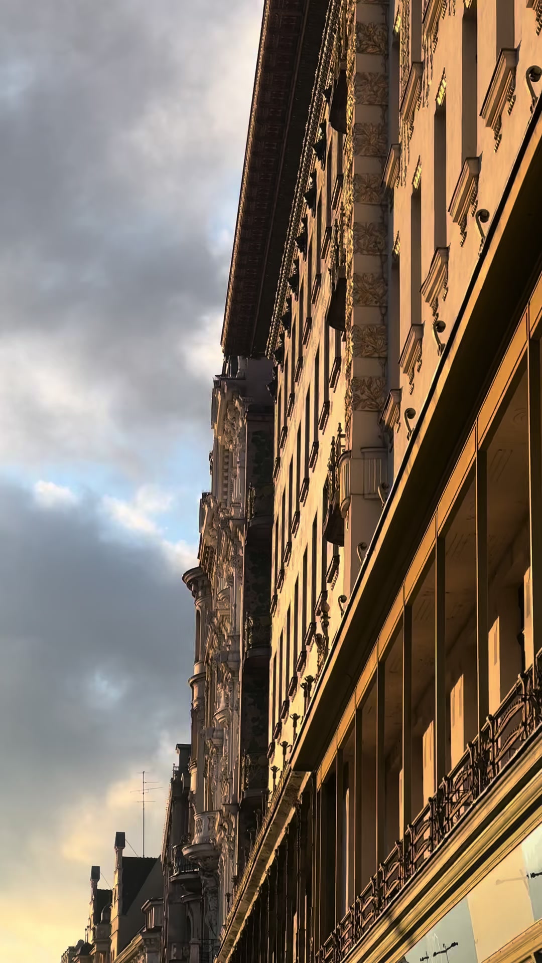 @Luisa.Florentine