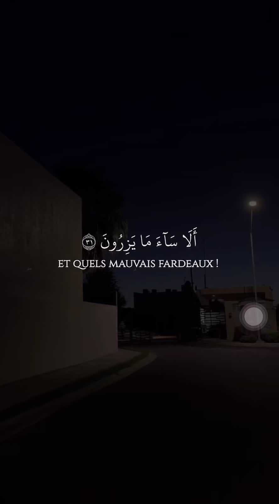 @omar_seijuro