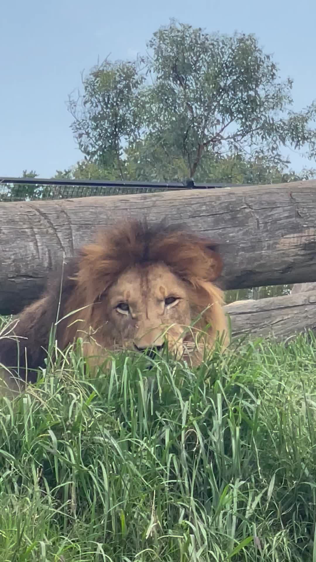 @judeszoolife