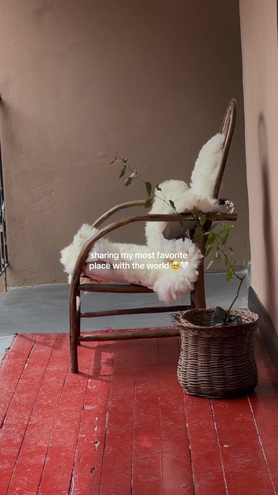 @Urpi 🕊️