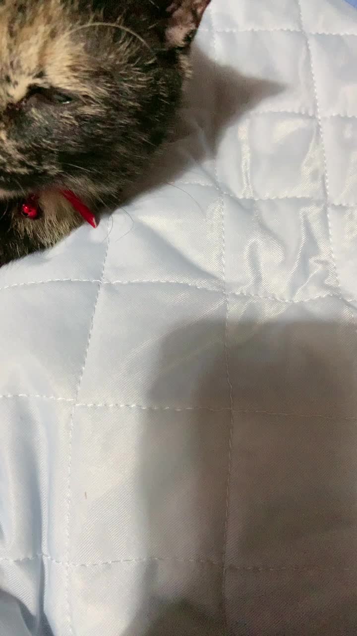 @🥀🖤