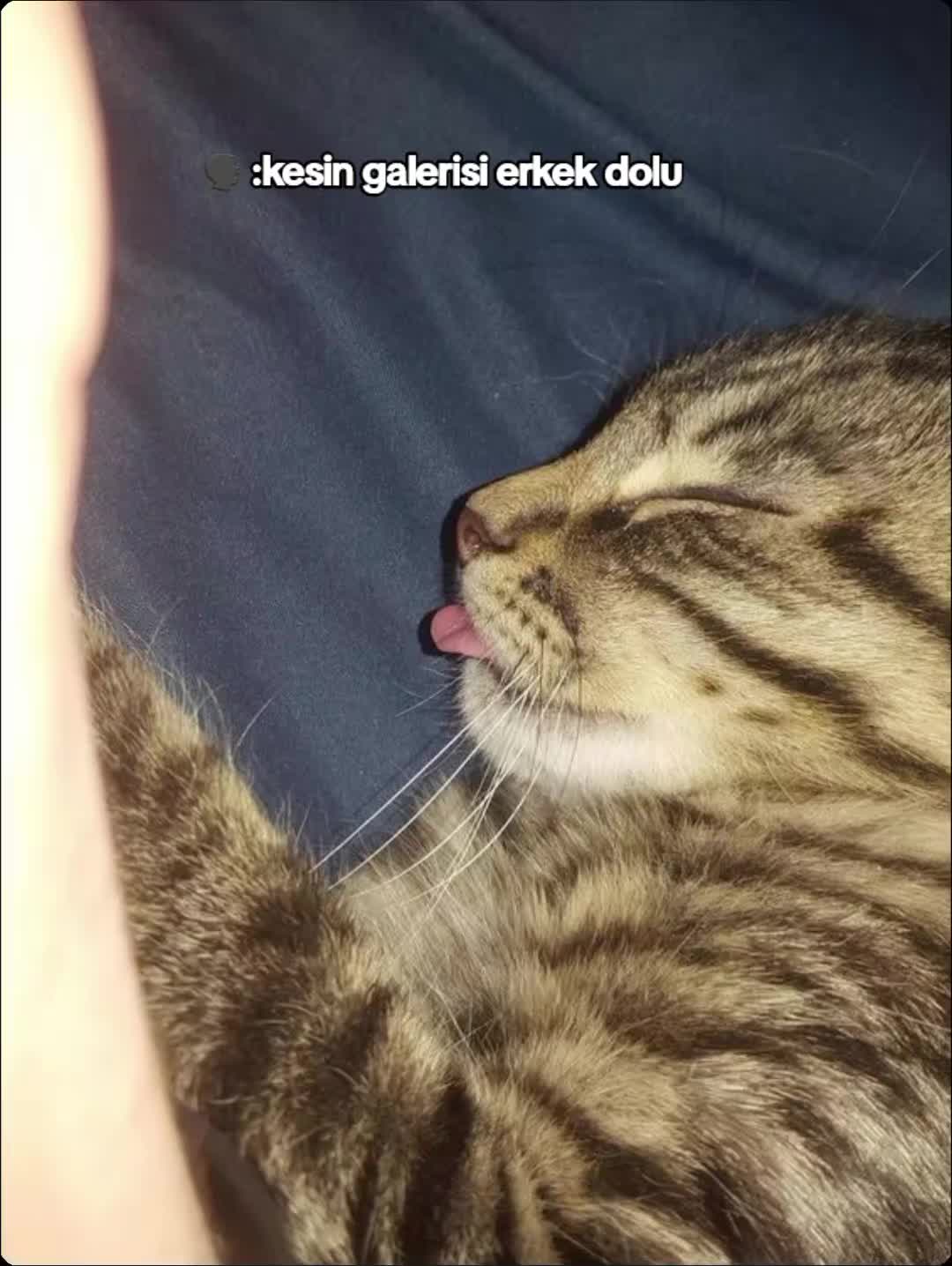 @Esmerbombaa