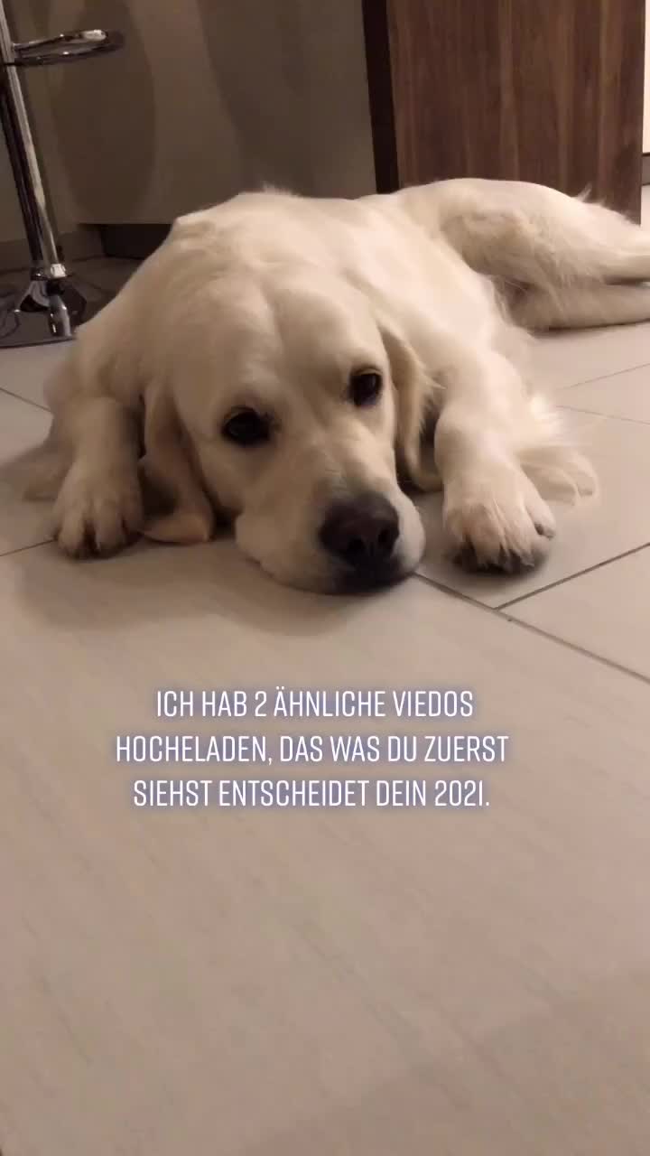 @Life_of_Elli