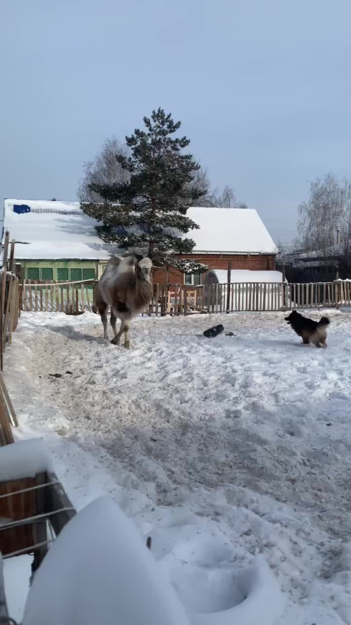 @А_нют_А🤪