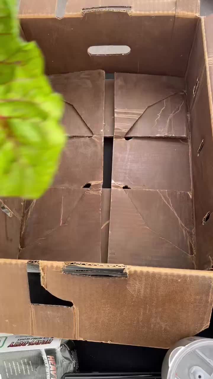 @guzmanproduce