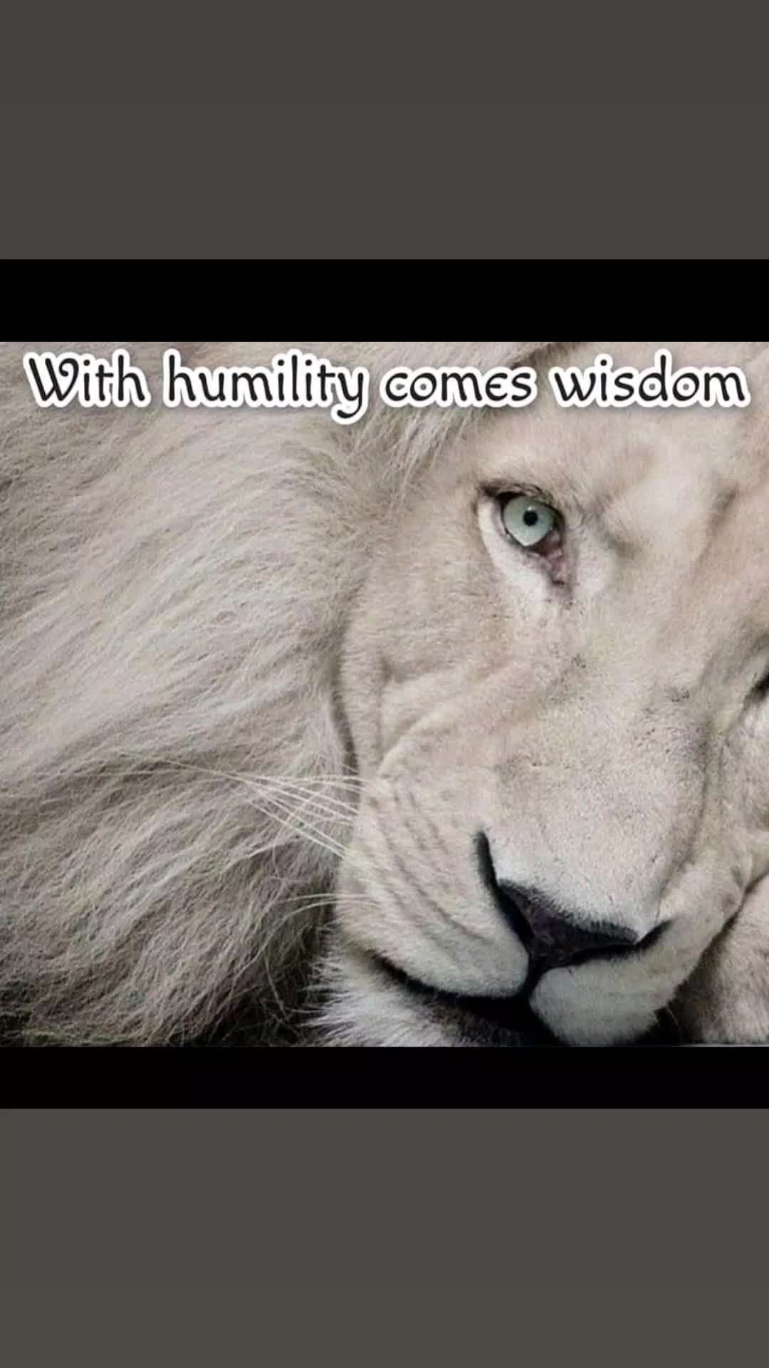@T