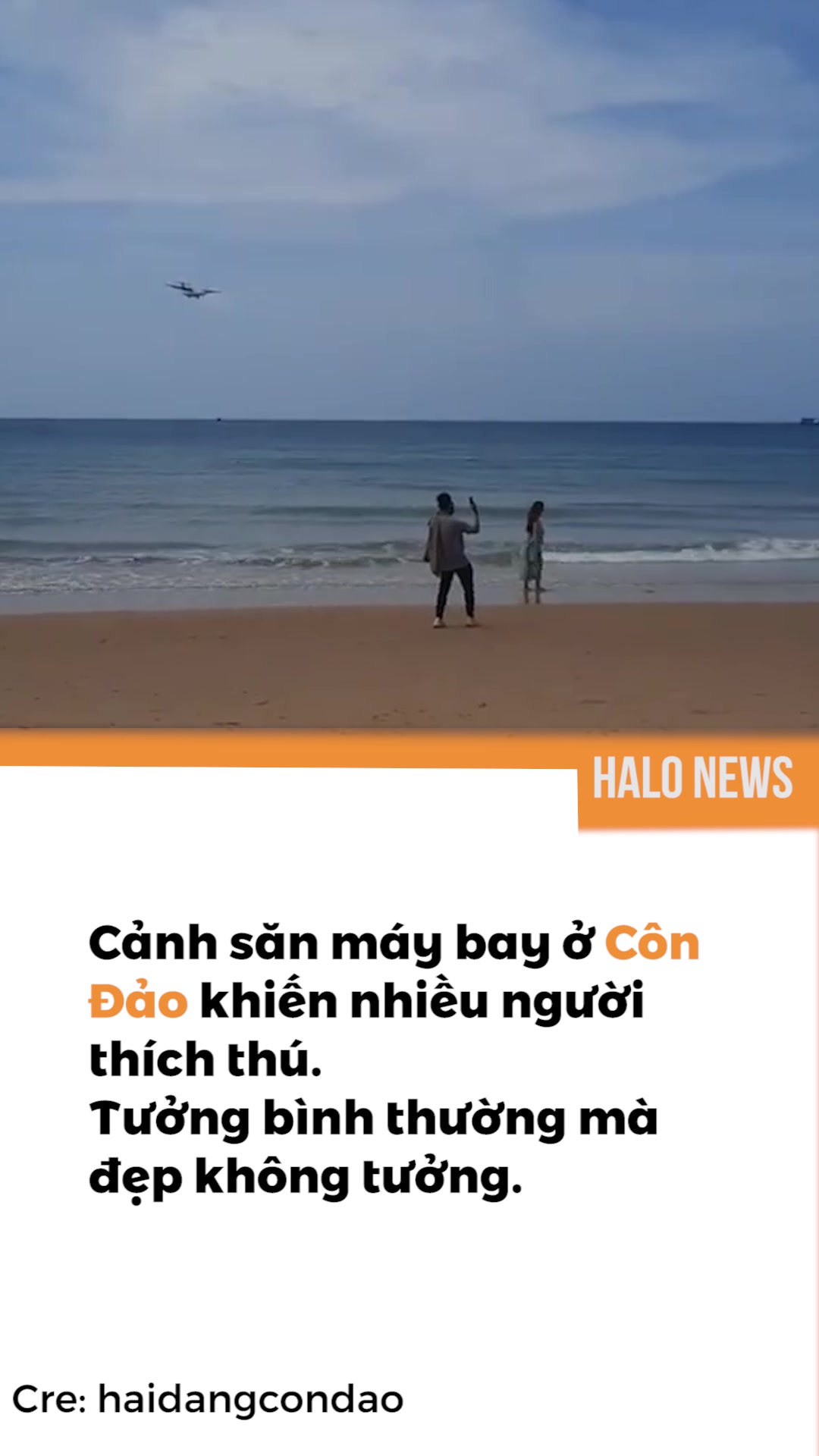 @Halo Vietnam