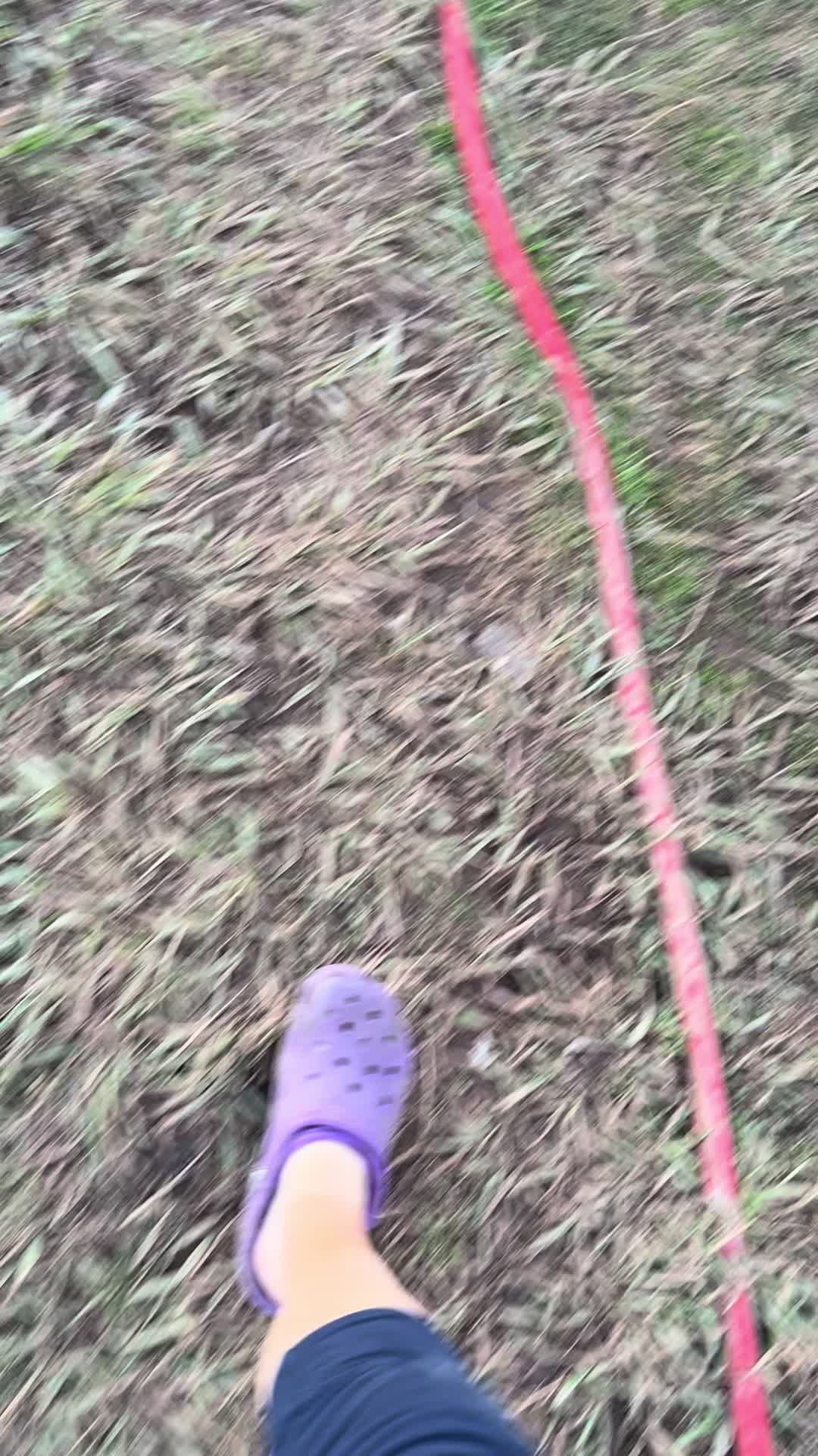 @TX City Farm Girl