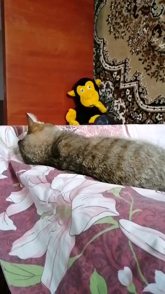 @Влад