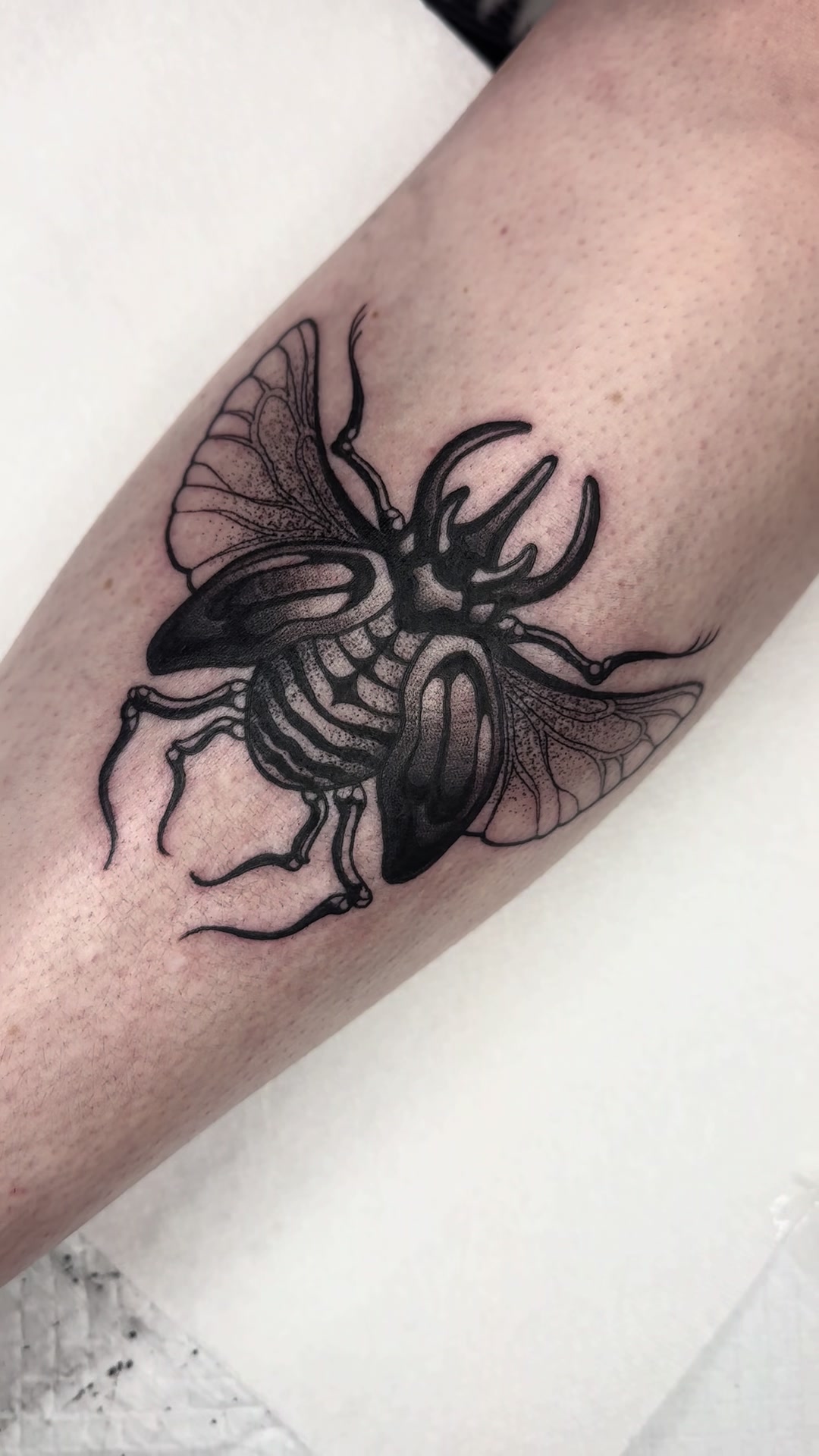@🕷𝕭𝖊𝖊🕷
