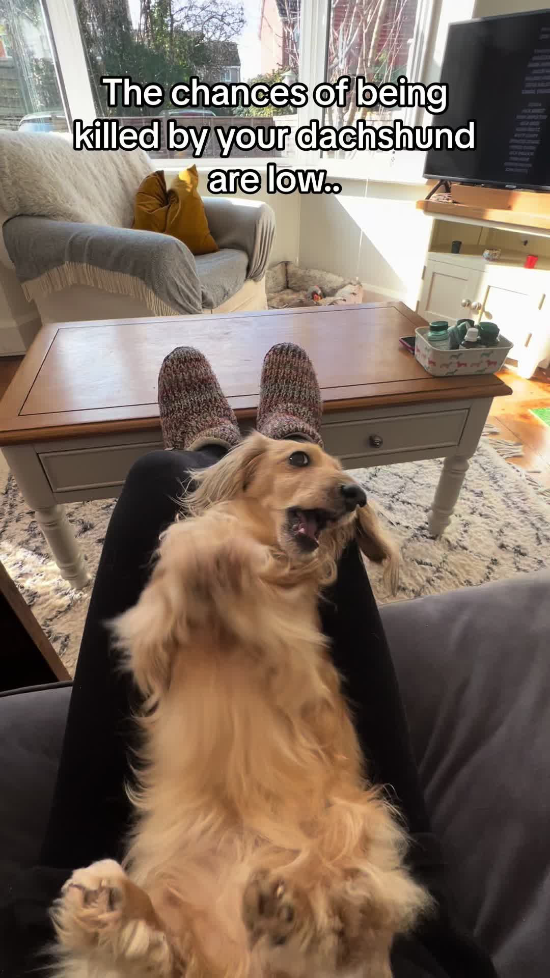 @Zarathesausage