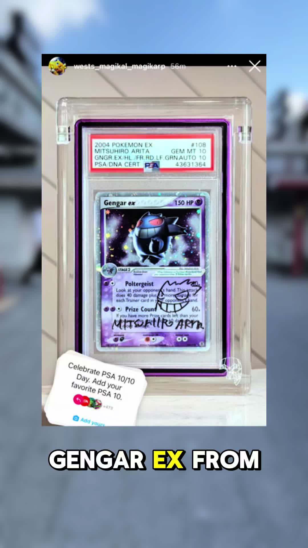 @Marcuccicollects