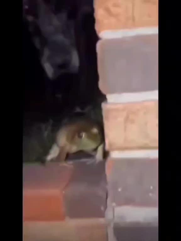 @丂乂ㄒ卄