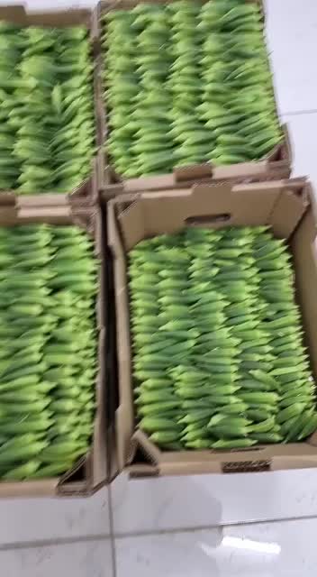 @സഖാവ് ♥♥🚩🚩