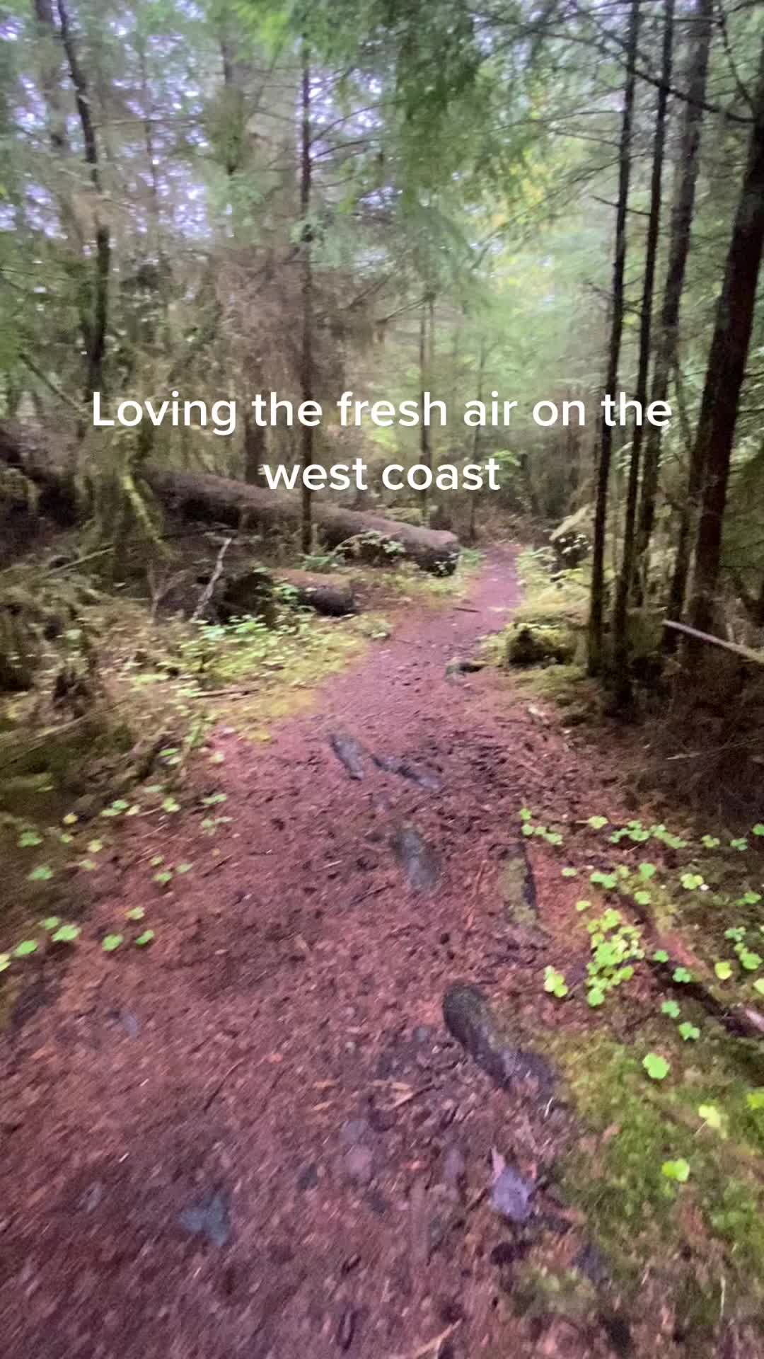 @realtyonegonecoastal930