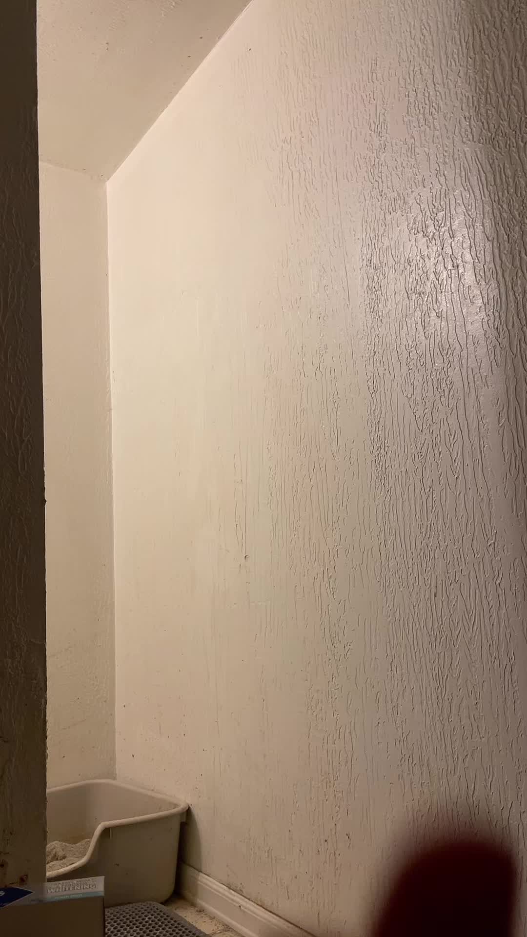 @Dr_Steven_poop