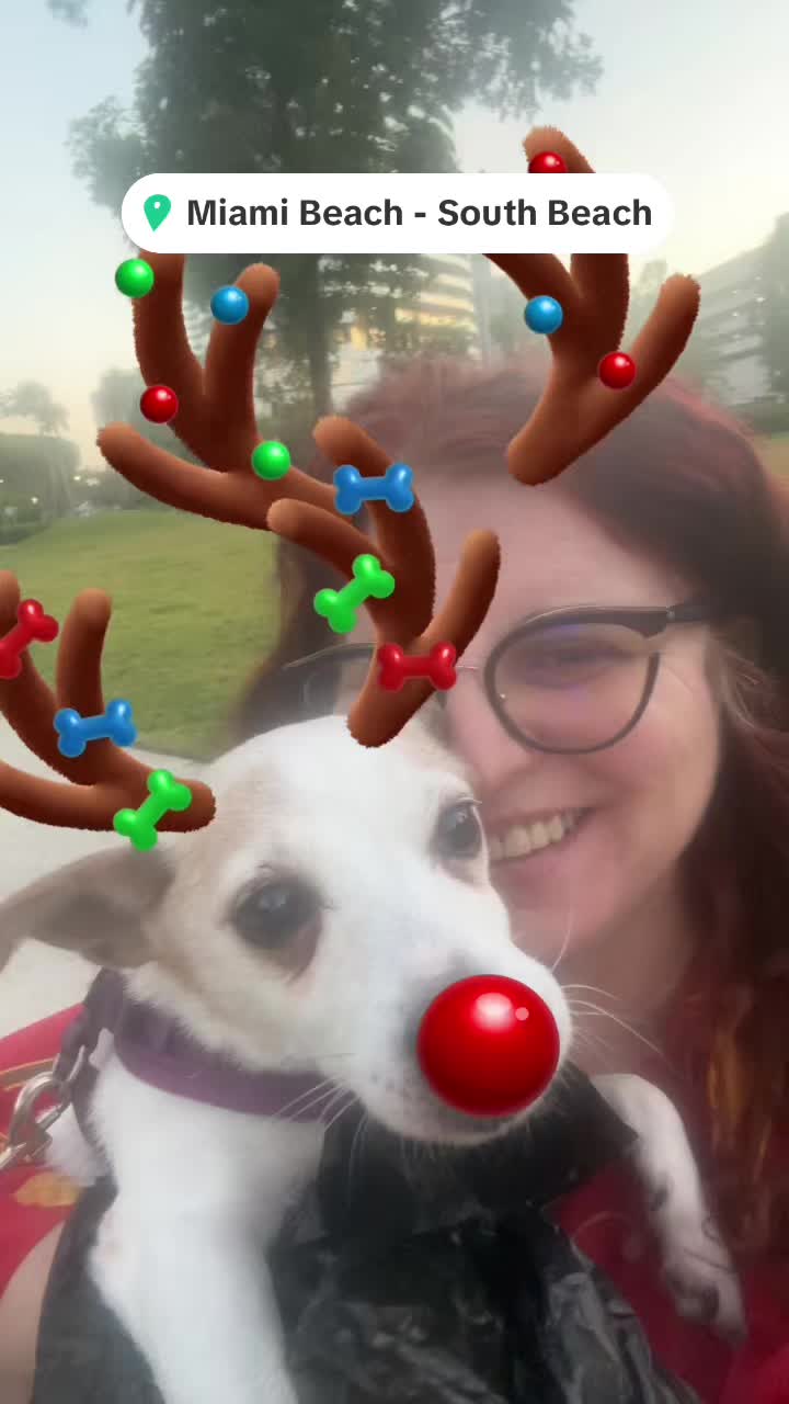 @marcepeluyale