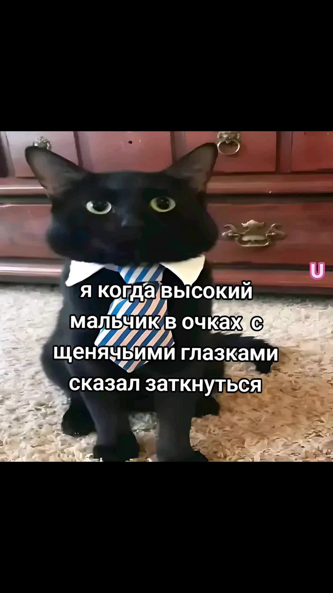 @эсюня🥷