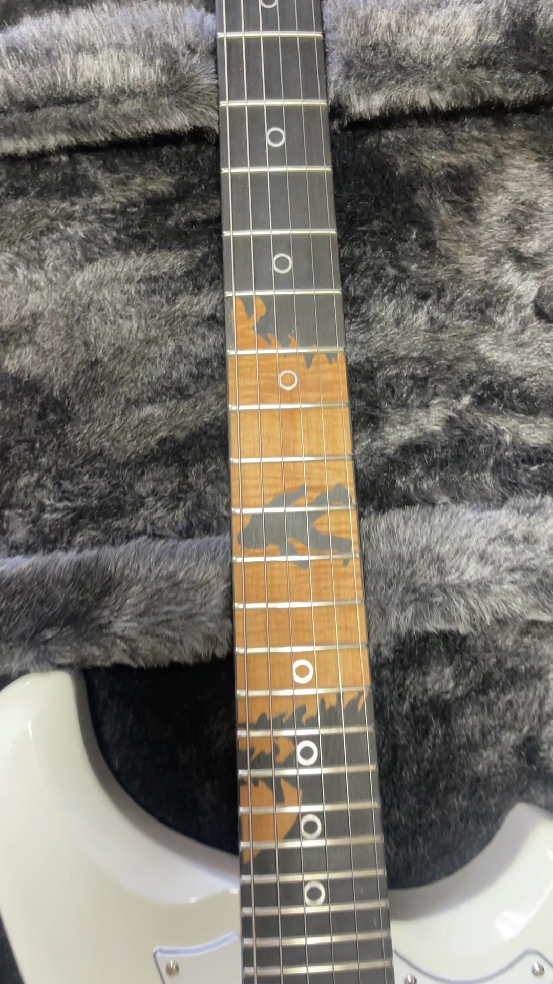 @BaldacciGuitars